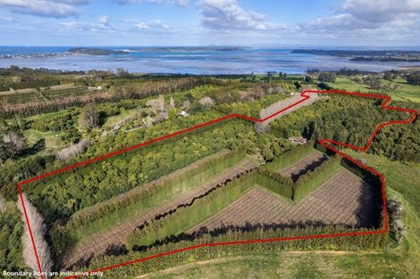 Photo of property in 308 Athenree Road, Athenree, Katikati, 3177