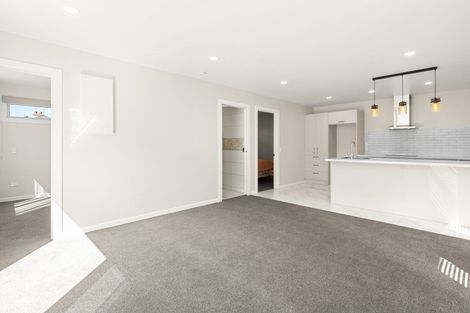 Photo of property in 55 Havelock Street, Mornington, Dunedin, 9011