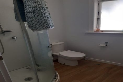 Photo of property in 56 Coromandel Street, Newtown, Wellington, 6021