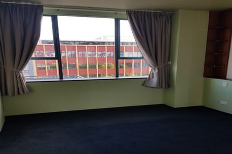 Photo of property in The Lofts, 11/185u Victoria Street, Te Aro, Wellington, 6011