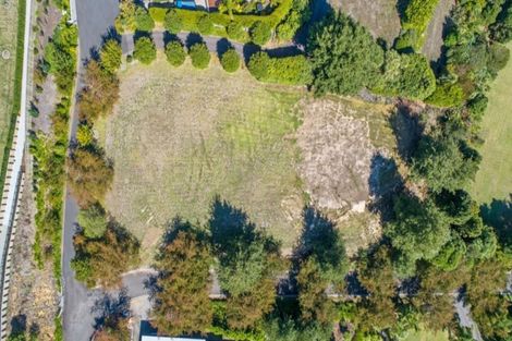 Photo of property in 45r Saint Regis Way, Bethlehem, Tauranga, 3110