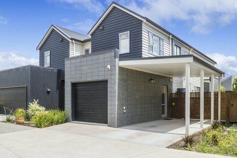 Photo of property in 41 Liquidambar Drive, Hobsonville, Auckland, 0616