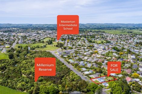 Photo of property in 39 Hillcrest Street, Solway, Masterton, 5810