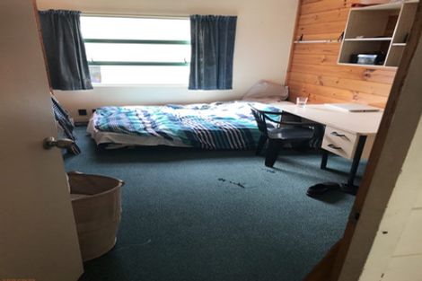 Photo of property in Te Awhina Apartments, 29/22u Sussex Street, Mount Cook, Wellington, 6021