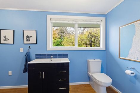 Photo of property in 14 Acheron Avenue, Lake Coleridge, 7572