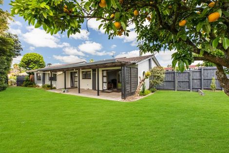 Photo of property in 120 Racecourse Road, Waiuku, 2123