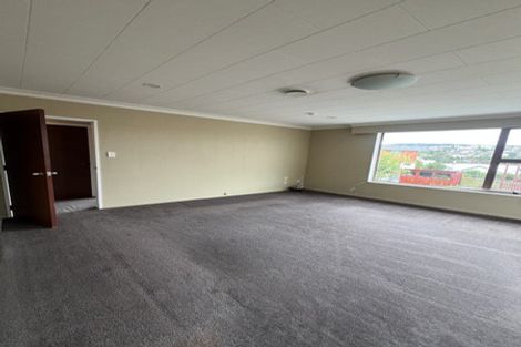 Photo of property in 1a Mccrea Street, Mornington, Dunedin, 9011