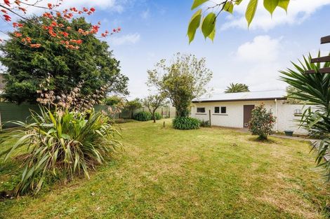 Photo of property in 64 Worcester Street, Ashhurst, 4810