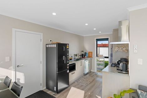 Photo of property in 111 Hinemoa Street, Levin, 5510