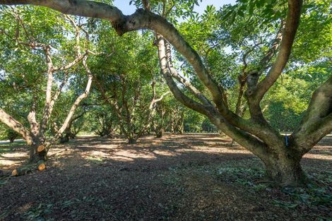 Photo of property in 299 Beach Road, Katikati, 3178