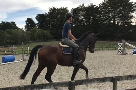 Photo of property in 19 Valley Road, Waitoki, Kaukapakapa, 0871