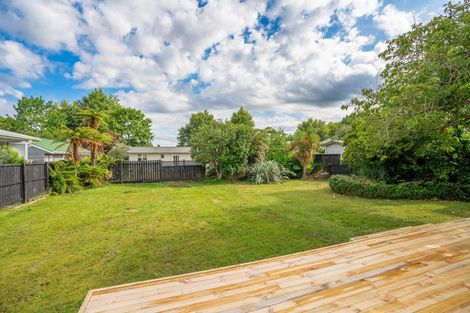 Photo of property in 17 Brown Street, Hamilton East, Hamilton, 3216