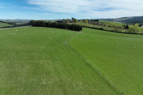 Photo of property in 1446a Clydevale Road, Clydevale, 9274