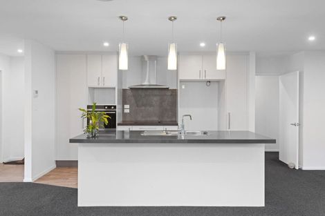 Photo of property in 12 Dunlops Crescent, Marshland, Christchurch, 8083