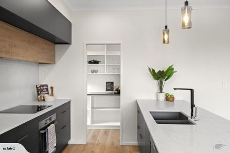 Photo of property in 31 Capper Crescent, Chartwell, Hamilton, 3210