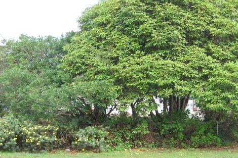 Photo of property in 15 Edwards Avenue, Henderson, Auckland, 0610