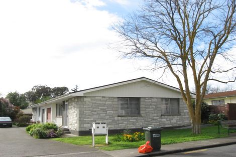 Photo of property in 6b Danvers Street, Havelock North, 4130