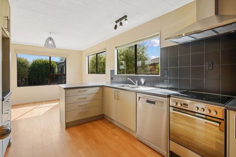 Photo of property in 17 Giblin Street, Richmond, 7020