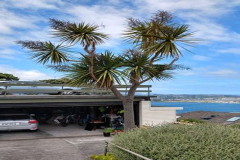 Photo of property in 53a Alexandra Road, Hataitai, Wellington, 6021