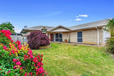 Photo of property in 5 Radisich Place, Mount Maunganui, 3116