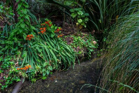 Photo of property in 60 Cole Street, Masterton, 5810