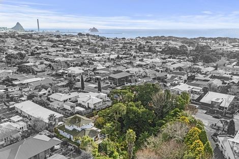 Photo of property in 105 Vivian Street, New Plymouth, 4310