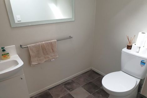 Photo of property in 13a Greensboro Street, Hamilton East, Hamilton, 3216