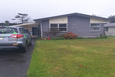 Photo of property in 28 Morrow Terrace, Pukekohe, 2120