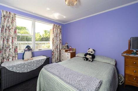 Photo of property in 74 David Street, Hinds, Ashburton, 7773