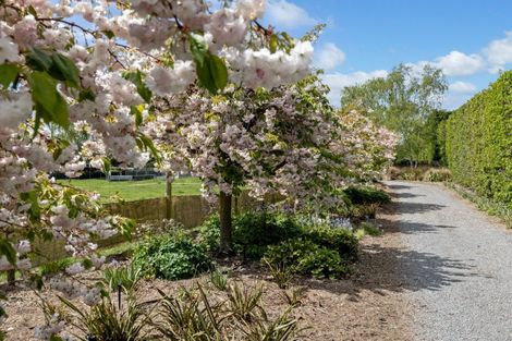 Photo of property in 74 Adams Road, West Melton, Christchurch, 7676