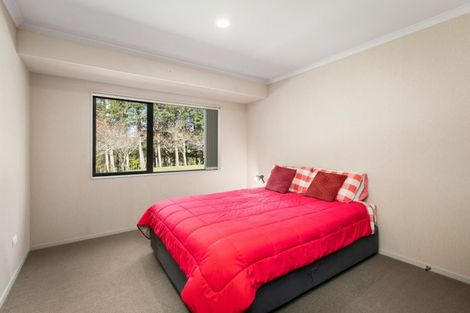 Photo of property in 174c Lund Road, Aongatete, 3178