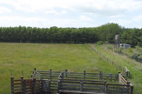 Photo of property in 991 Parewanui Road, Parewanui, Bulls, 4894