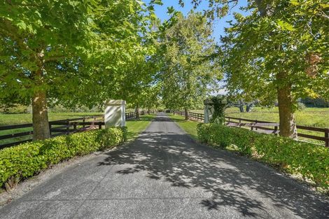 Photo of property in 200b Bawden Road, Dairy Flat, Albany, 0792