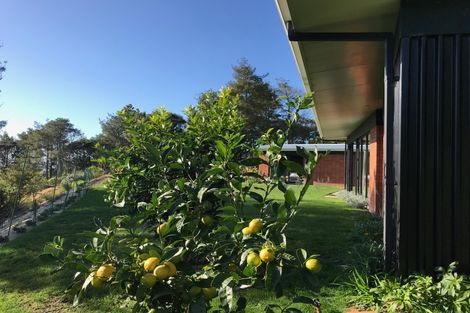Photo of property in 671c Wainui Road, Raglan, 3297