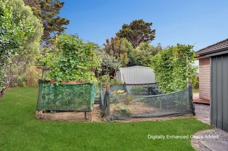 Photo of property in 12 Omana Avenue, Shelly Beach, Helensville, 0874