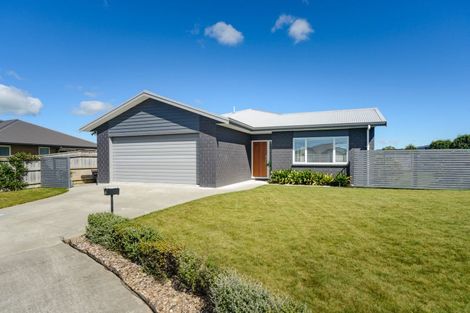 Photo of property in 13 Cherry Place, Feilding, 4702