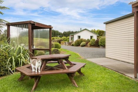 Photo of property in 4 Franklin Road, Waihi, 3682