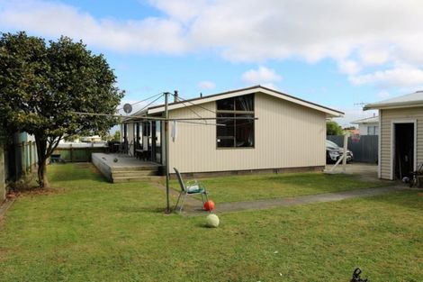 Photo of property in 43 Strathmore Avenue, Levin, 5510