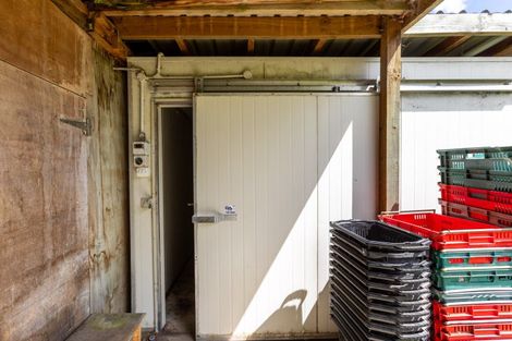 Photo of property in 21 Vogel Street, Woodville, 4920