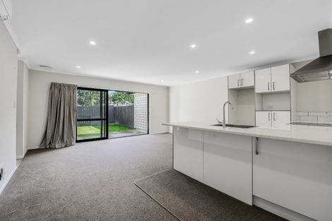 Photo of property in 17u1 Walter Street, Fairfield, Hamilton, 3214