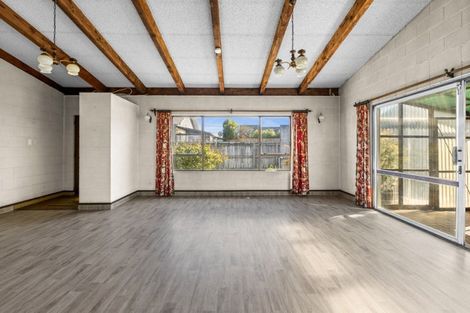 Photo of property in 309 Frederick Street, Mahora, Hastings, 4120