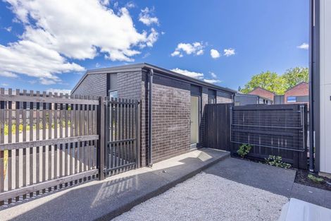 Photo of property in 50 Musselwhite Terrace, Chartwell, 3210