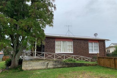 Photo of property in 137 Young Street, Te Awamutu, 3800