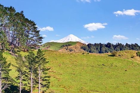 Photo of property in 822 Motukawa Road, Tarata, Inglewood, 4387