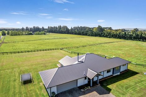 Photo of property in 533 Rangiora Leithfield Road, Sefton, 7477