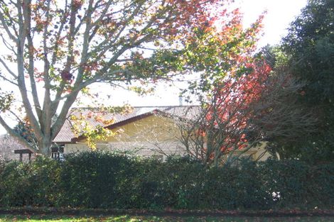 Photo of property in 331 Thames Street, Morrinsville, 3300