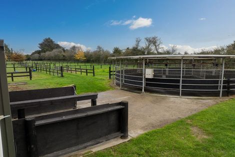 Photo of property in 204 Racecourse Road, Cambridge, 3493