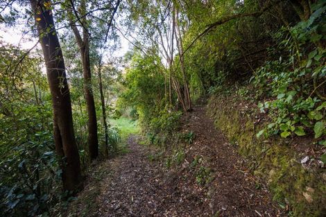 Photo of property in 139 Awahou Road South, Ashhurst, 4884
