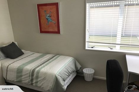 Photo of property in 30 Rita Street, Mount Maunganui, 3116