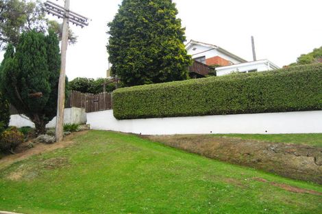Photo of property in 156 Sidey Street, Calton Hill, Dunedin, 9012